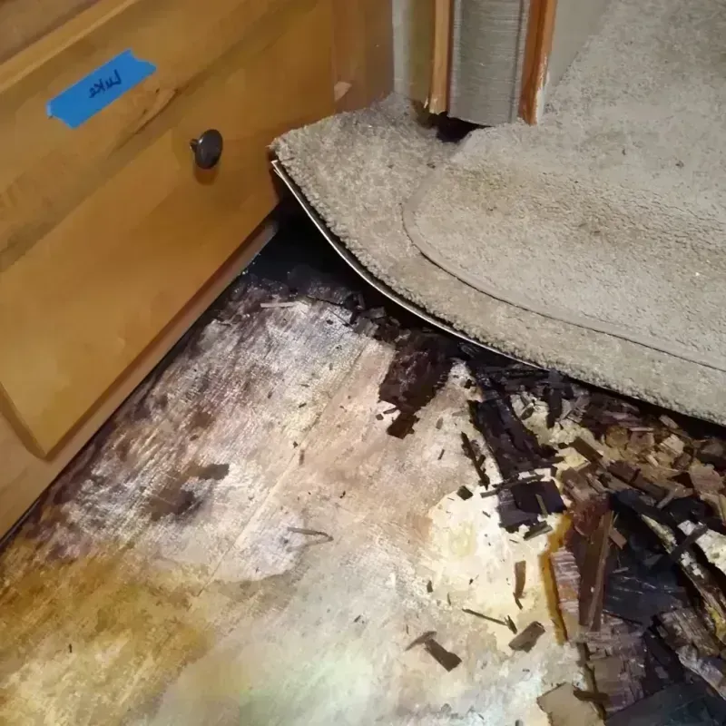 Wood Floor Water Damage in San Diego County, CA